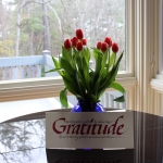 Gratitude & tulips